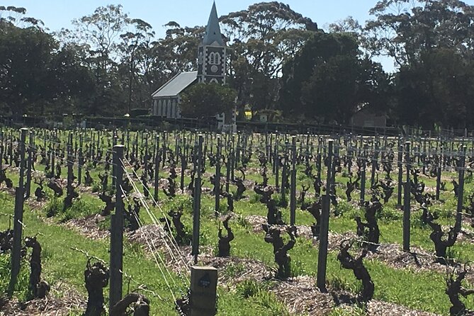Barossa Valley Private Luxury Tour Full Day - A private start from Adelaide at 9am