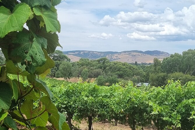 Barossa Valley Shared Tour with Wine Tasting and Lunch - Andrew’s role makes a difference