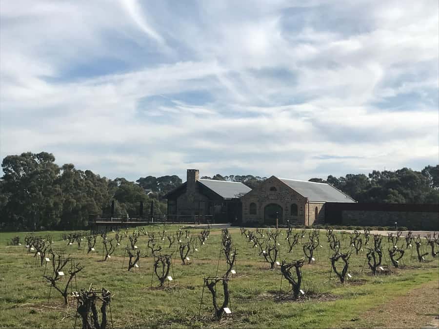 Barossa Valley: Small Group Wine Tour (Includes Lunch) - A seven-and-a-half-hour introduction to the Barossa
