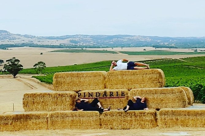 Barossa Wine Tasting shared tours - What the small vehicle changes
