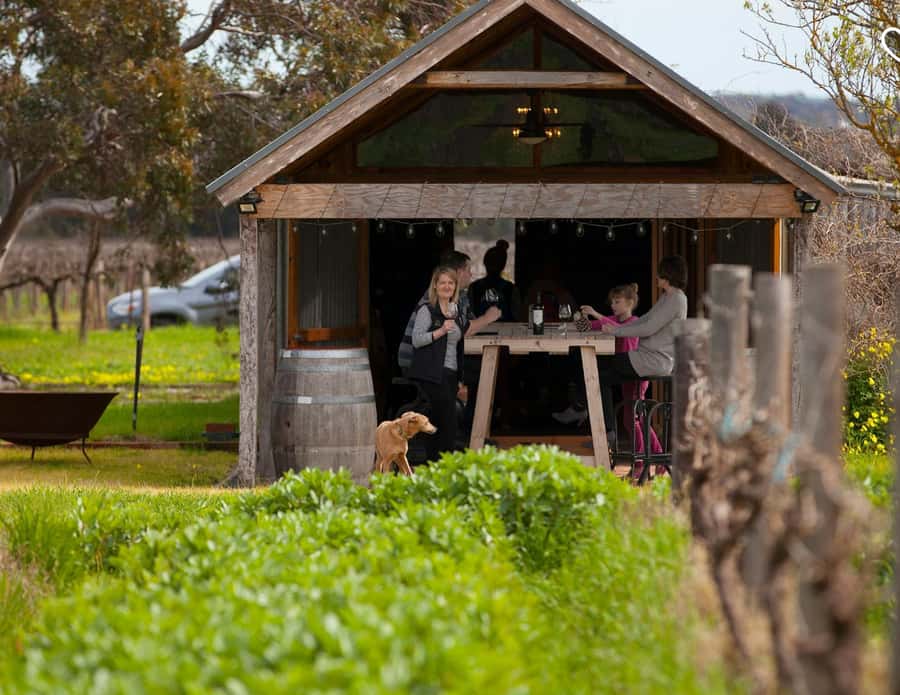 Barossa Wine Tour: Small Group 8 max, Rare, Unique, Premium - Why the winemaker meetings matter