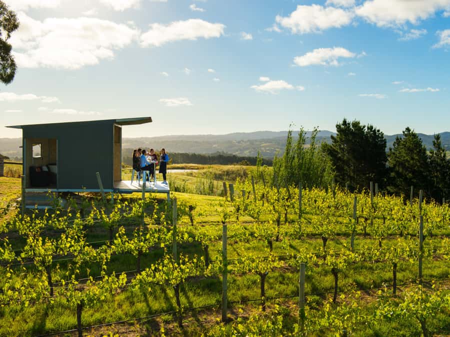 Barossa Wine Tour: Small Group 8 max, Rare, Unique, Premium - Three boutique cellar doors with different personalities