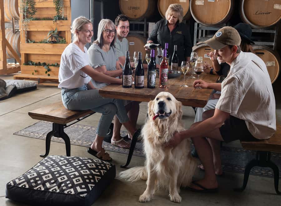 Barossa Wine Tour: Small Group 8 max, Rare, Unique, Premium - What the guides add to the day
