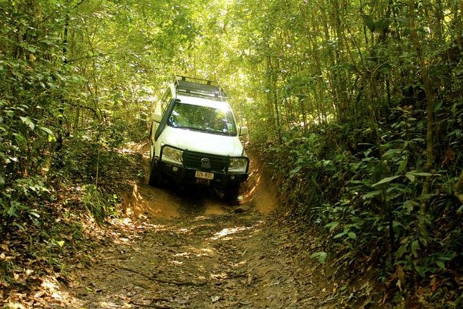 Barron Gorge and Kuranda National Park Half Day Rainforest and Waterfall 4WD Tour from Cairns - What this half-day 4WD trip is really like