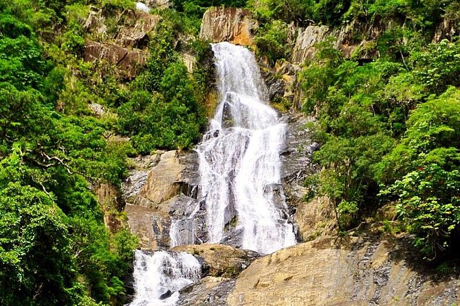 Barron Gorge and Kuranda National Park Half Day Rainforest and Waterfall 4WD Tour from Cairns - Kuranda National Park and the rainforest drive
