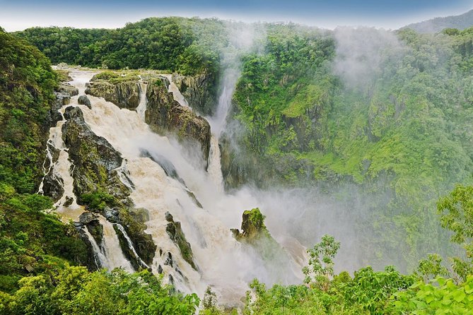 Barron Gorge and Kuranda National Park Half Day Rainforest and Waterfall 4WD Tour from Cairns - The guide can make or break the day