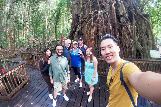 Barron Gorge and Kuranda National Park Half Day Rainforest and Waterfall 4WD Tour from Cairns - Barron Falls, the classic first look