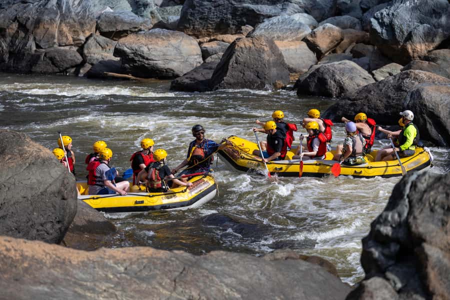 Barron Gorge: Half-Day Barron River White-Water Rafting - Who should book the Barron River rafting trip?