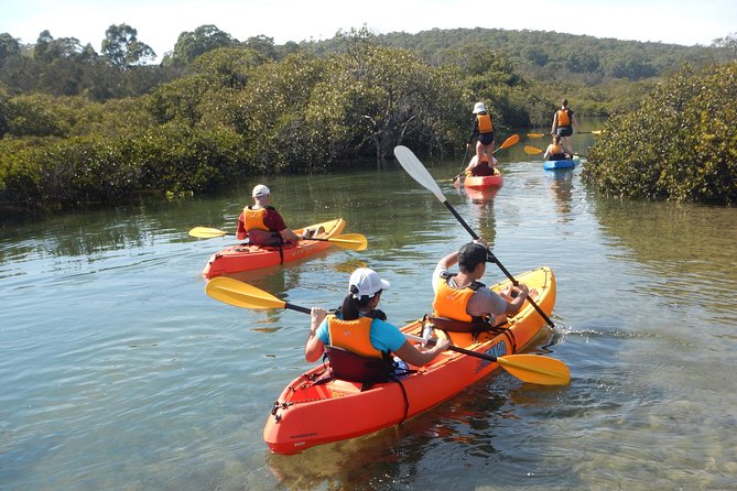 Batemans Bay Glass-Bottom Kayak Tour Over 2 Relaxing Hours - Batemans Marine Park: sand flats, seagrass and mangroves