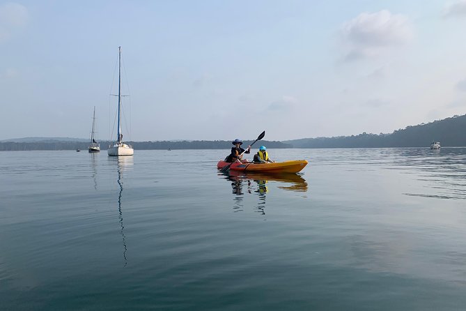 Batemans Bay Glass-Bottom Kayak Tour Over 2 Relaxing Hours - How beginner-friendly is the kayaking?