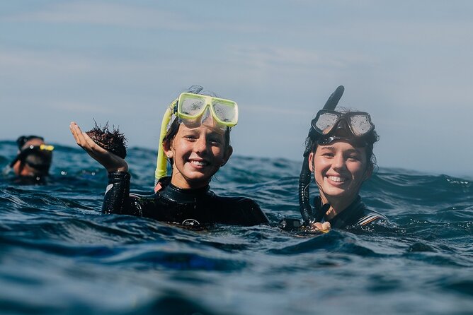 Batemans Bay Glass-Bottom Kayak Tour Over 2 Relaxing Hours - What is included, and what is not