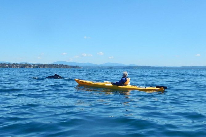 Batemans Bay Glass-Bottom Kayak Tour Over 2 Relaxing Hours - Who will enjoy this experience most?