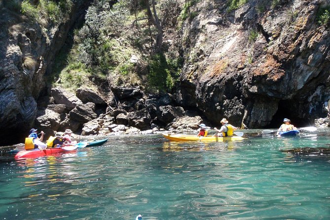 Batemans Bay Glass-Bottom Kayak Tour Over 2 Relaxing Hours - Region X and the meeting point at Surfside