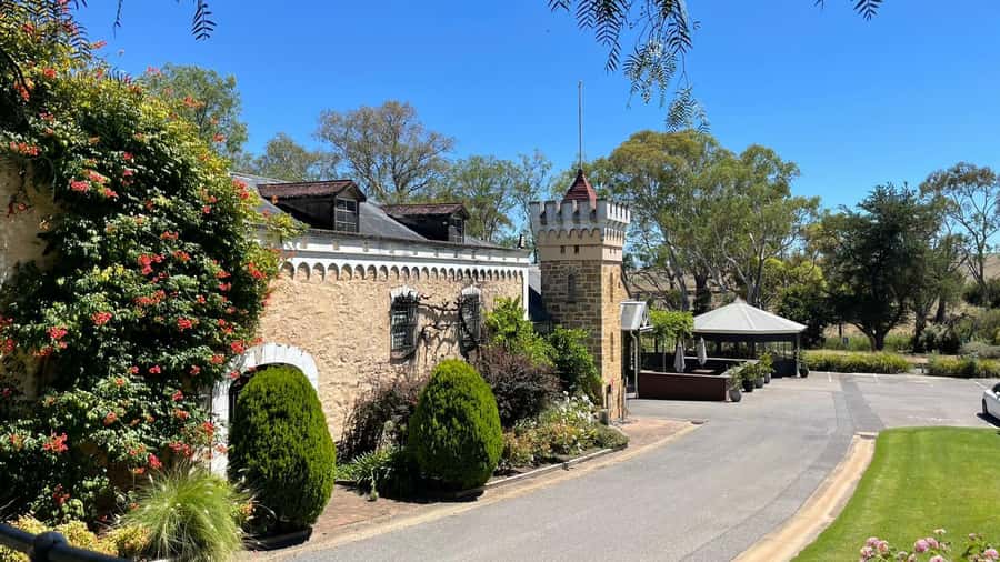 Best of Adelaide- City Highlights (Half-Day Tour) - Guides, vehicles, and the human side of the outing