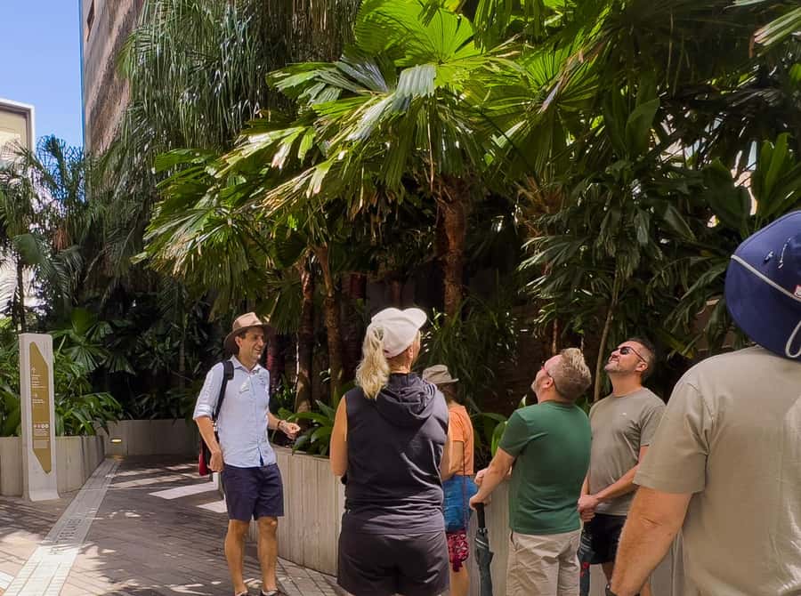 Best of Brisbane Walking Tour | Small Group & snack - Starting Near Post Office Square