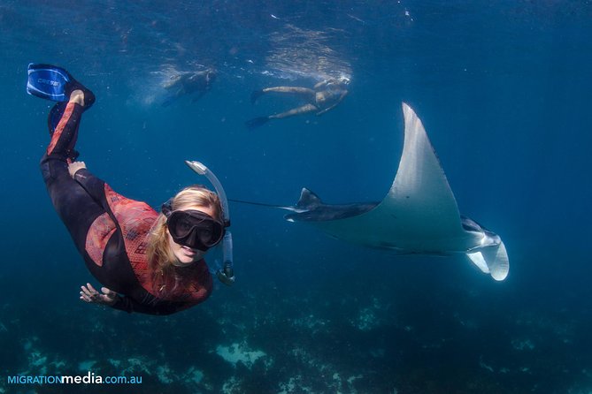 Best of Ningaloo Mantas and More - Lunch, tea, and the practical comforts