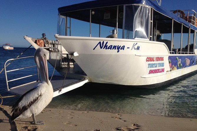 Best of Ningaloo Mantas and More - Weather, cancellation, and simple planning