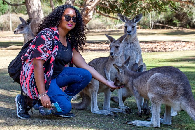BIG 3 Tasmania - Port Arthur, Wineglass Bay, Cradle Mountain - Who will get the most from this trip