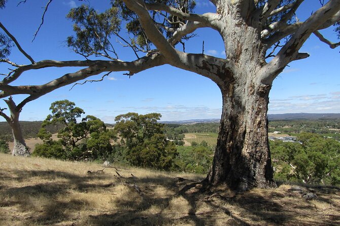 Big Red Full Day Private Tour - Tanunda beyond the main street