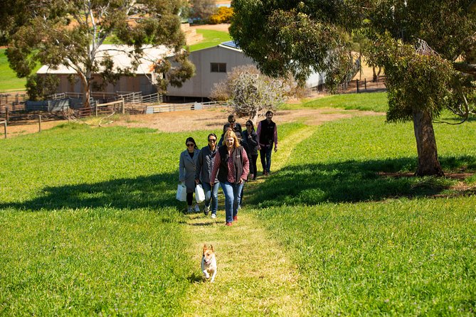 Big Red Full Day Private Tour - Bethany and the beginning of the Barossa story