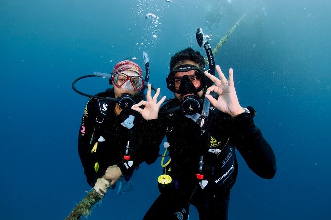 Blue Dive Private Guided Scuba Dive Cairns - Why private guidance changes the reef experience
