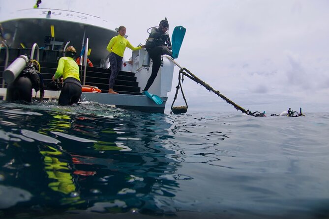 Blue Dive Private Guided Scuba Dive Cairns - Boarding the spacious catamaran