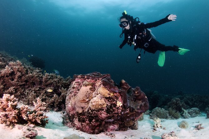 Blue Dive Private Guided Scuba Dive Cairns - Two reef sites on Norman, Saxon, or Hastings Reefs