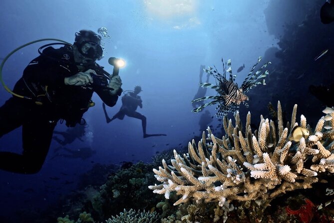 Blue Dive Private Guided Scuba Dive Cairns - Is $606.82 a fair price?