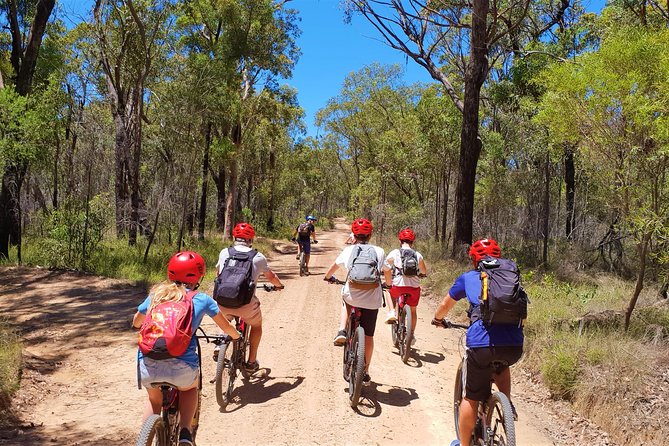 Blue Labyrinth PRIVATE Tour: Sydney Blue Mountains by E-Bike - Fire trails, single track, and the changing views