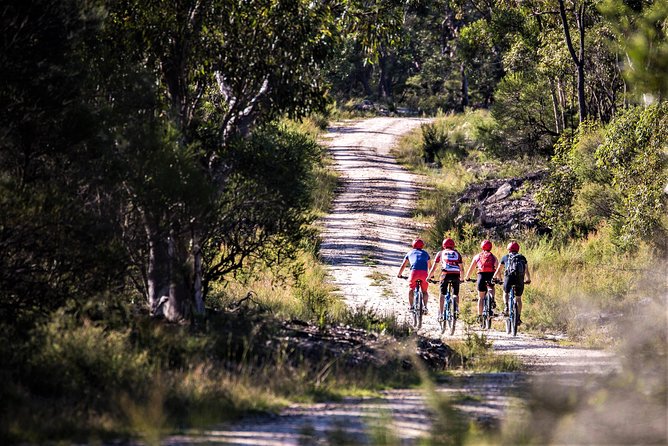 Blue Labyrinth PRIVATE Tour: Sydney Blue Mountains by E-Bike - Fitness, comfort, and the right kind of rider