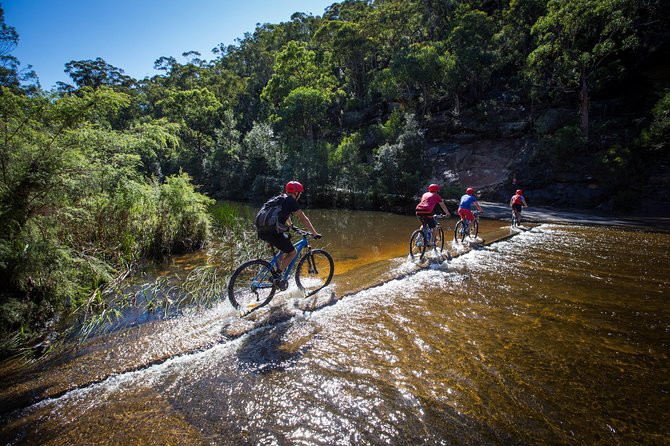 Blue Labyrinth PRIVATE Tour: Sydney Blue Mountains by E-Bike - Timing, meeting point, and cancellation details