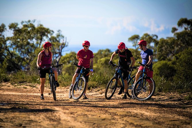 Blue Labyrinth PRIVATE Tour: Sydney Blue Mountains by E-Bike - Getting comfortable on an electric mountain bike