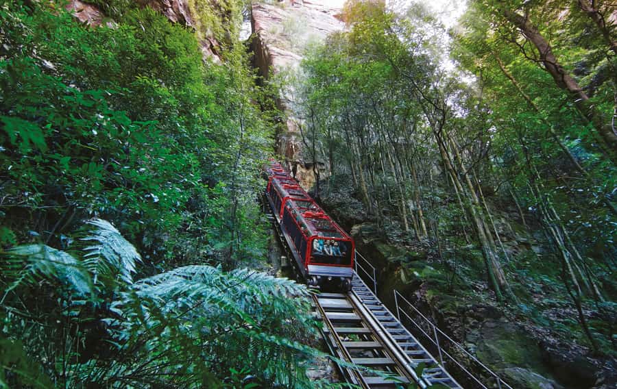 Blue Mountain: Small-Group Tour with Lunch & Scenic World - The Parramatta River ferry home