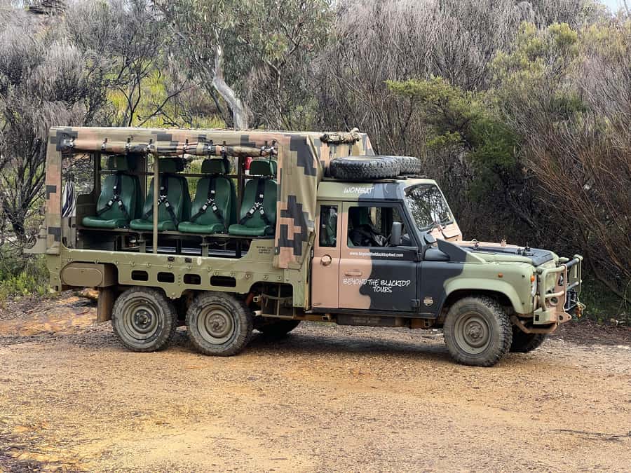 Blue Mountains 3 Hour Army Truck Adventures - Riding above the road in an ex-army Land Rover