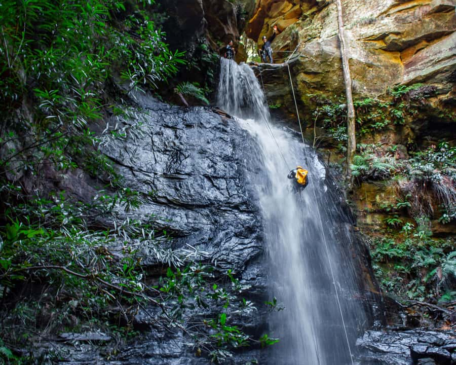 Blue Mountains: Abseiling and Canyoning Experience - The canyon combines swims, jumps, and rock slides