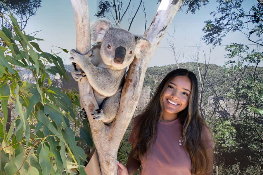 Blue Mountains Adventure: Scenic World, Zoo & Koala Photo - Three Scenic World rides in 90 minutes