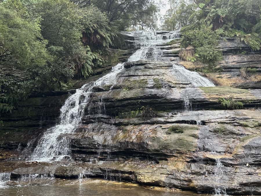 Blue Mountains Adventure: Scenic World, Zoo & Koala Photo - The guides make a real difference