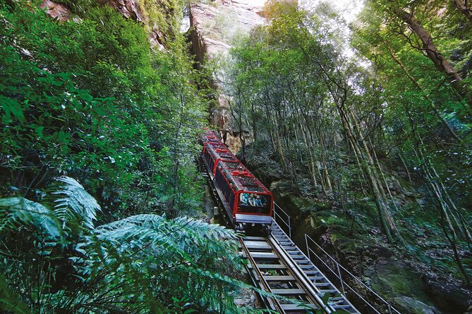 Blue Mountains Adventure w Scenic World, Zoo, Koala Photo & Ferry - Key details before you book