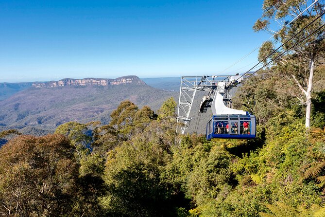Blue Mountains Adventure w Scenic World, Zoo, Koala Photo & Ferry - Scenic World packs the most action into 90 minutes