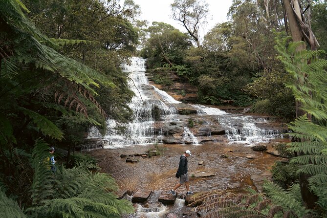 Blue Mountains Adventure w Scenic World, Zoo, Koala Photo & Ferry - Elysian Rock and Echo Point show two sides of the mountains