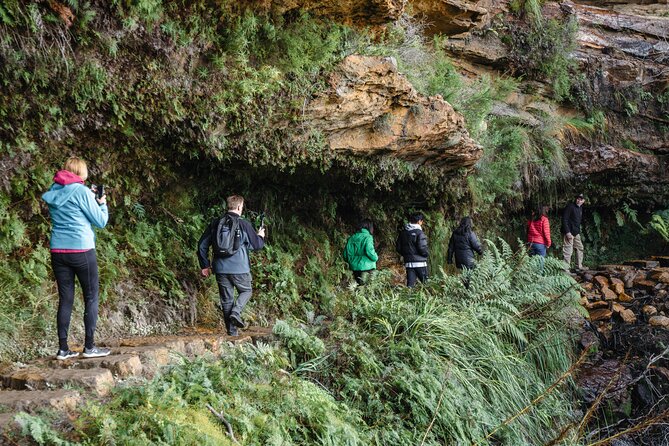Blue Mountains Day Tour With Bushwalks, Waterfalls & Featherdale - Featherdale Wildlife Park and Australian animals