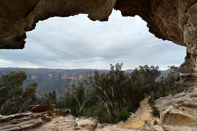 Blue Mountains Full Day Guided Tour - Wildlife and cultural details beyond the views