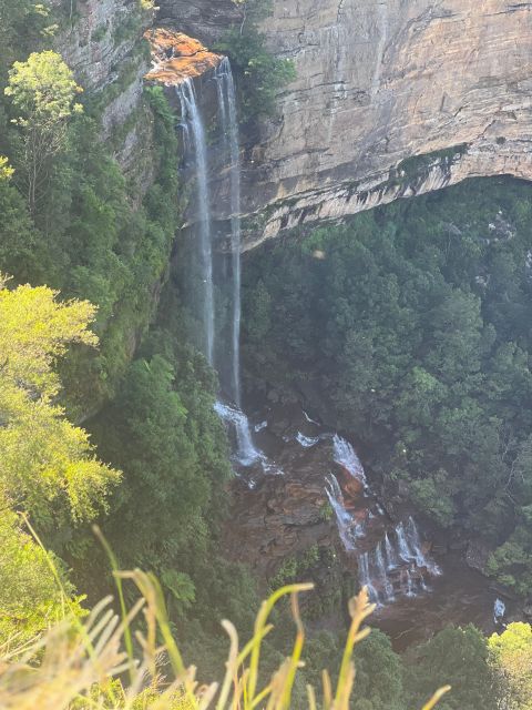 Blue Mountains: Full Day Guided Tour with Lunch - A guide-led day with Russ, Paul, Spiros, or Kate