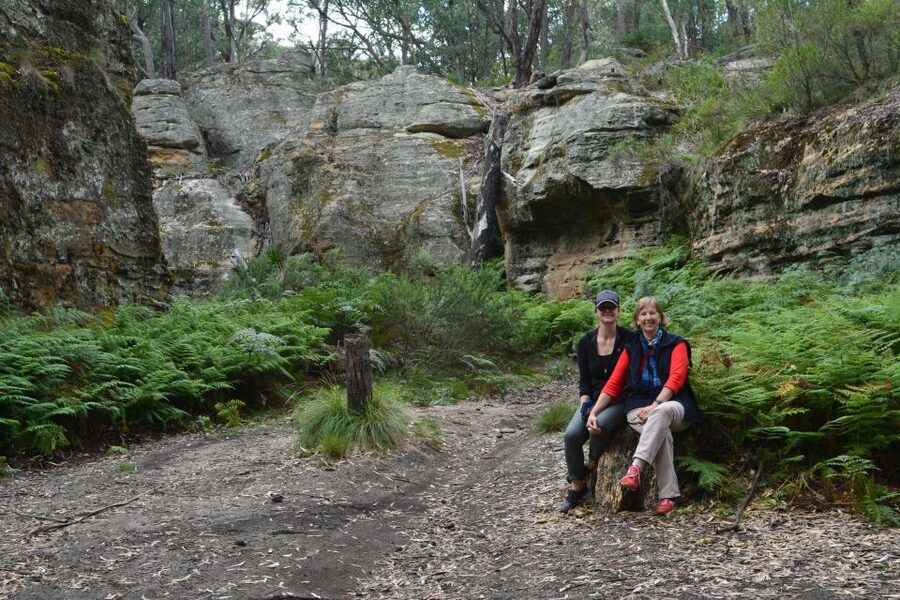 Blue Mountains: Full Day Guided Tour with Lunch - Lunch from a Blue Mountains cafe