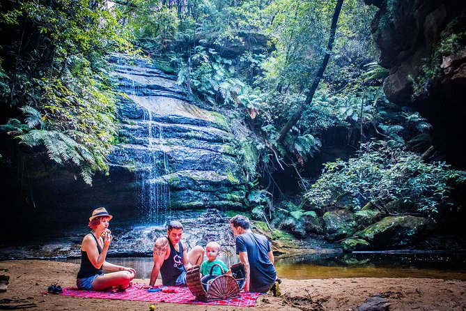 Blue Mountains Hop On Hop Off Tour - Scenic World and the Lyrebird Pass