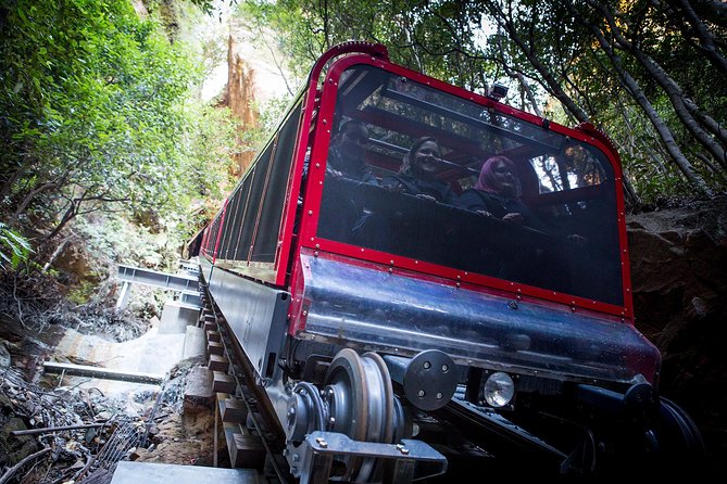 Blue Mountains Hop On Hop Off Tour - Leura, gardens, galleries, and short walks