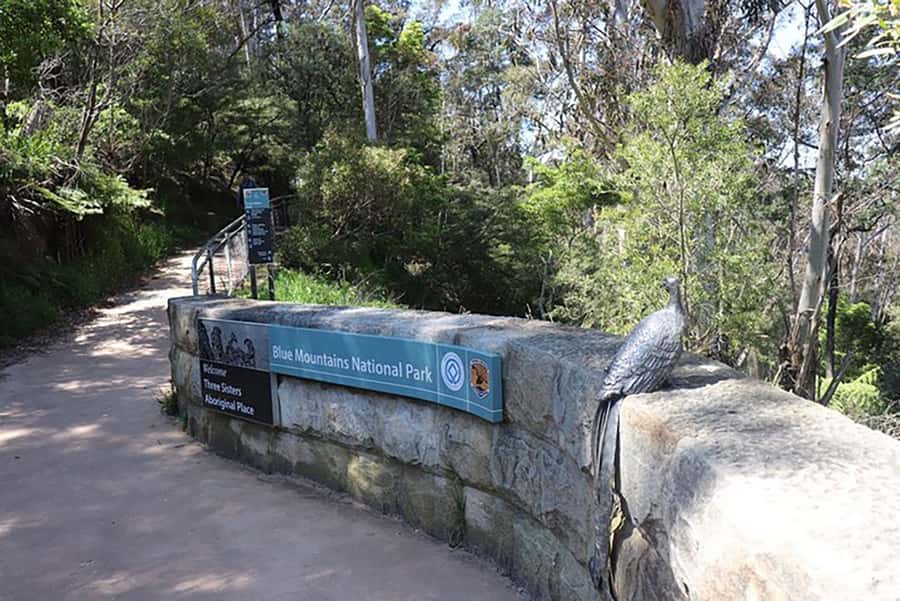 Blue Mountains: Private Tour with Wildlife and River Cruise - Private transport is comfortable, but the ferry ending is a real detail