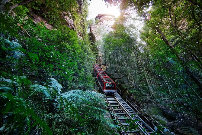 Blue Mountains Small-Group Tour from Sydney with Scenic World,Sydney Zoo & Ferry - Key points to know before booking