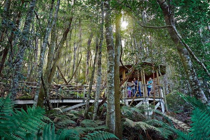 Blue Mountains Small-Group Tour from Sydney with Scenic World,Sydney Zoo & Ferry - Scenic World: four attractions in one hour
