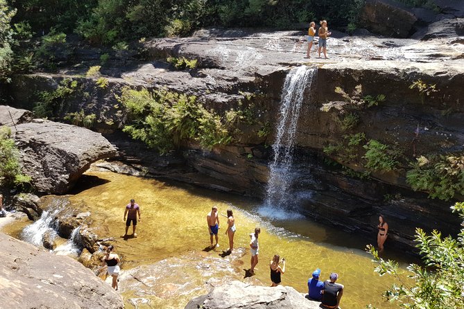 Blue Mountains Small Group Tour with Waterfall Walk & Fresh Lunch - What $86.07 really buys you